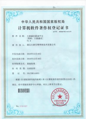 湖北大唐至尊網(wǎng)絡技術 解放號平臺上的專業(yè)網(wǎng)絡技術服務商檔案